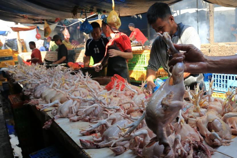 Pedagang melayani pembeli daging ayam potong di Pasar Ulee Kareng, Kota Banda Aceh, Provinsi Aceh, Ahad (1/5/2022). 