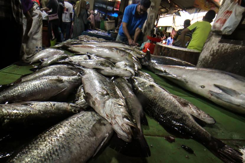 Ikan segar di pasar tradisional. Ikan yang tinggi merkuri cenderung menjadi ikan predator seperti ikan todak, hiu, dan king makerel.
