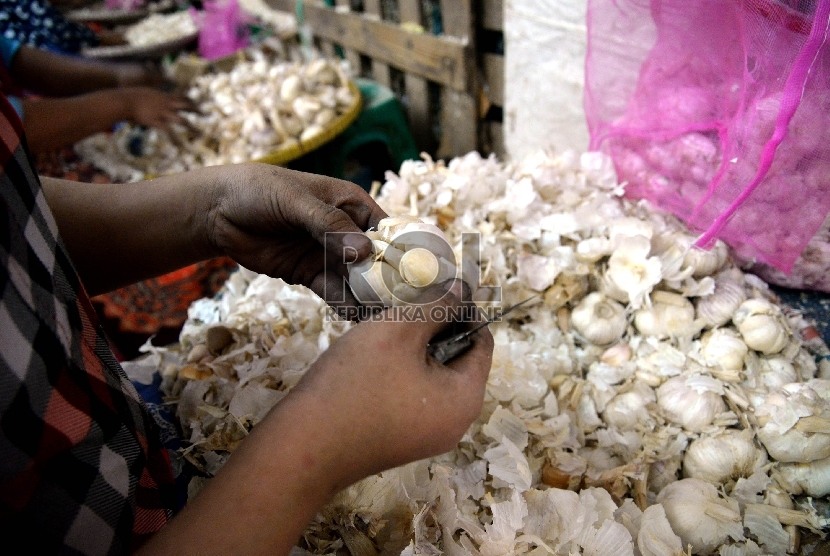 Pedagang memilah bawang putih impor di pasar tradisional. ilustrasi (prayogi/Republika).