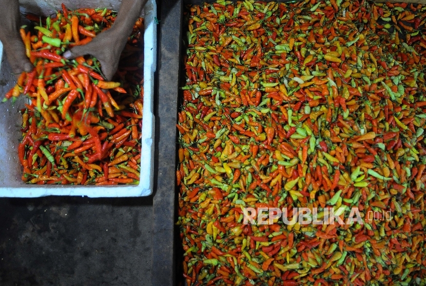 Pedagang memilah cabai di Pasar Senen, Jakarta Pusat, Senin (3/4).