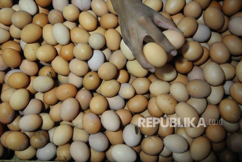 Pedagang memilah telur ayam di Pasar Senen Jakarta Pusat, Kamis (4/2).