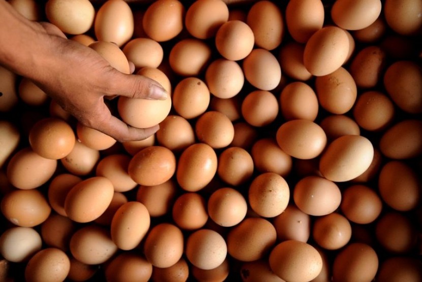 Pedagang memilah telur ayam disalah satu agen teur di kawasan Bukit Duri, Jakarta, Jumat (13/7). Jelang bulan puasa harga telur ayam terus melonjak hingga mencapai Rp.20.000/kg dari harga sebelumnya Rp.16.000/kg.