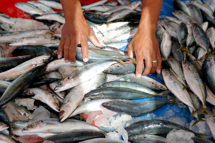 Pedagang memilih ikan untuk pembeli di Tempat Pelelangan Ikan (TPI). ilustrasi