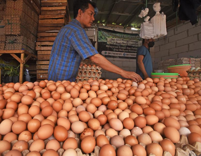 Pedagang memilih telur ayam,Pemerintah Kota Mataram, Provinsi Nusa Tenggara Barat, akan mendatangkan telur dari Pulau Bali sebagai salah satu bentuk intervensi pemerintah untuk menekan kenaikan harga telur dan inflasi.