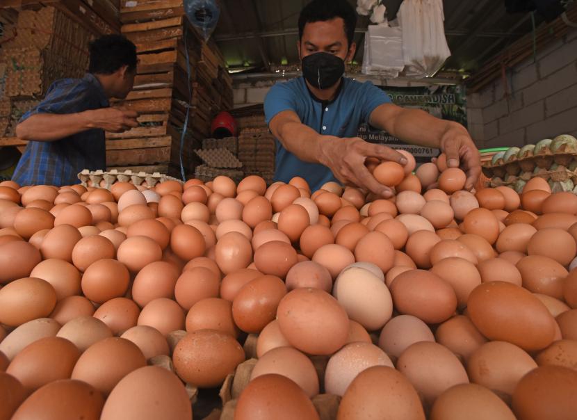 Pedagang memilih telur ayam yang harganya terus naik di Pasar Lama Kota Serang, Provinsi Banten, Senin (22/8/2022). 