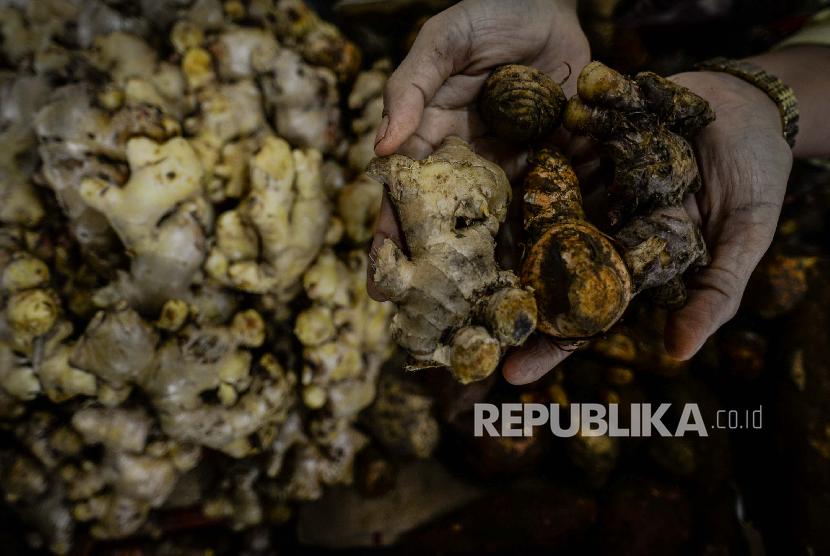 Pedagang memperlihatkan jahe di Pasar Mayestik, Kebayoran Baru, Jakarta, Senin (9/3). 