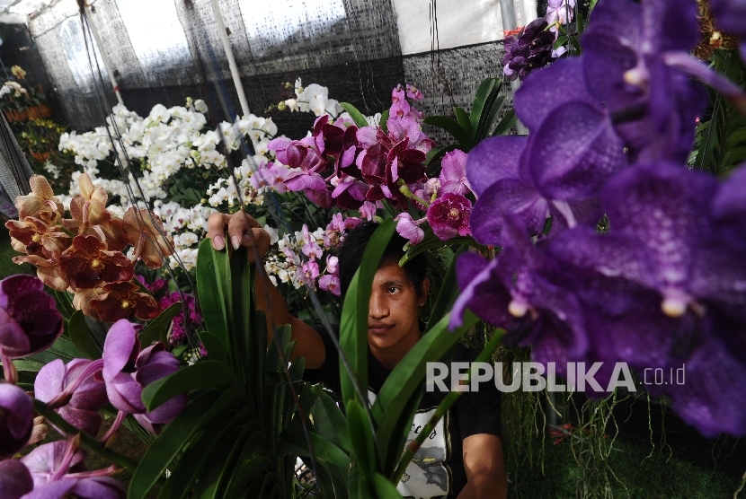 Pedagang mempersiapkan tanaman yang dijual pada pameran Flora dan Fauna Indonesia (Florina). ilustrasi