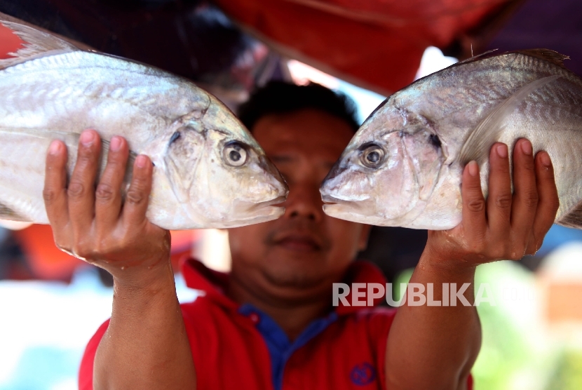 Pedagang menanti pembeli di Pasar Ikan Muara Baru, Jakarta, Kamis (29/6).