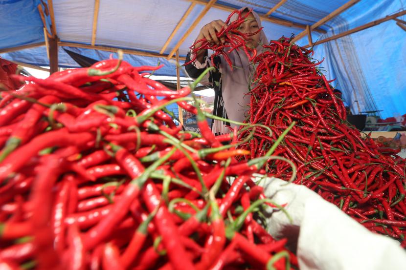 Pedagang menata cabai merah yang dijajakan di pasar (ilustrasi). Dinas Pangan Kota Solok, Sumatra Barat, mengatakan, kenaikan harga cabai merah dan bawang merah tersebut disebabkan karena stok di tingkat petani yang terbatas.