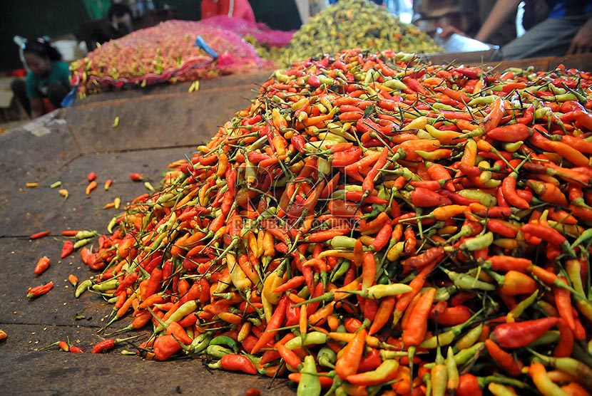 Pedagang menata cabai rawit merah di pasar tradisional. ilustrasi