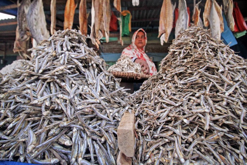 Pedagang menata cumi kering yang dijual Rp.148 ribu perkilogram, dari sebelumnya Rp.90 ribu perkilogram, di Kota Lhokseumawe, Aceh, Selasa (22/1/2019).