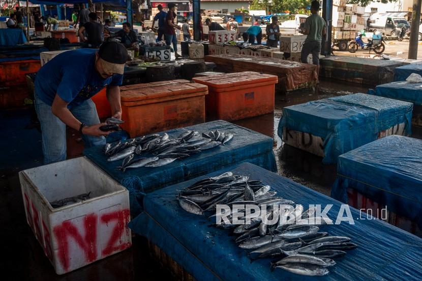 Pedagang menata ikan (ilustrasi). Kantor Pengawasan dan Pelayanan Bea dan Cukai (KPPBC) Tipe Madya Pabean (TMP) C Sulawesi Tenggara (Sultra) melepas ekspor perdana ikan tenggiri segar dengan tujuan negara Singapura.