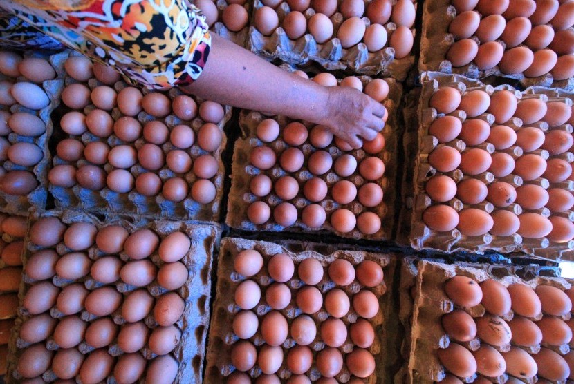 Pedagang menata telur ayam di salah satu agen telur.