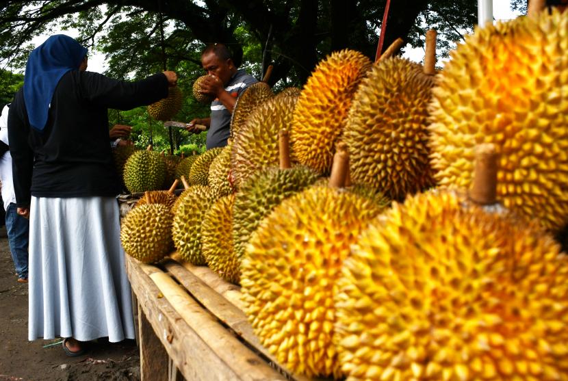 Pedagang menawarkan buah durian kepada calon pembeli di area pasar musiman di Pagotan, Kabupaten Madiun, Jawa Timur, Ahad (30/1/2022). Puluhan pedagang musiman dari Madiun dan Ponorogo memanfaatkan kawasan tersebut untuk berdagang durian yang dijual Rp25 ribu-Rp80 ribu per buah durian lokal dan Rp125 ribu-300 ribu per buah durian montong tergantung ukuran dan kualitas buah. 