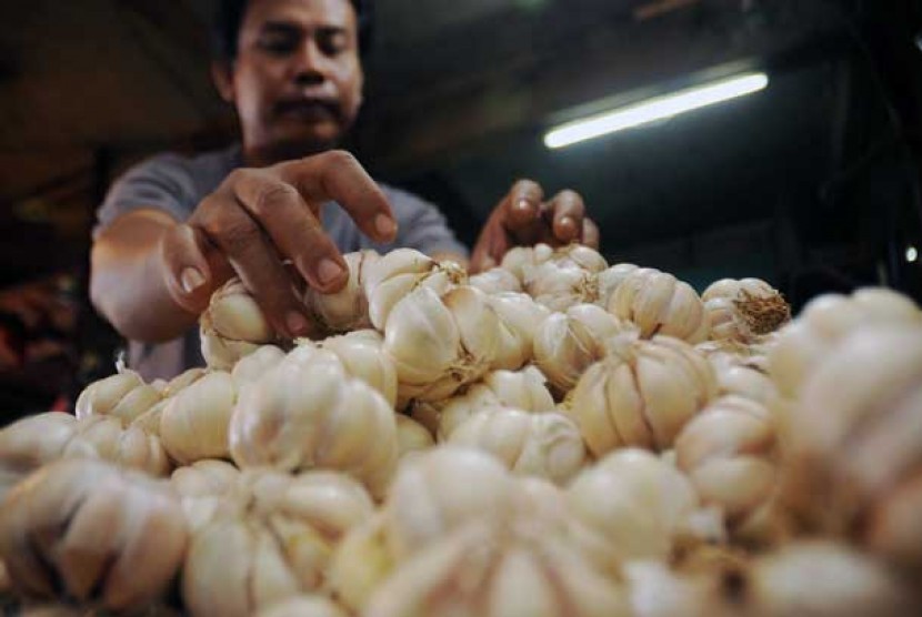 Pedagang mengambil bawang putih impor dari Cina untuk ditimbang di Pasar Senen, Jakarta, Rabu (13/3). 