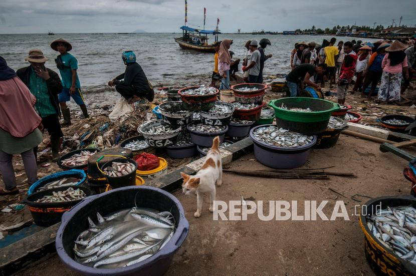 Pedagang menjajakan ikan hasil tangkapan nelayan setempat di Teluk Labuan, Pandeglang, Banten. 