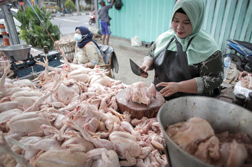 Pedagang menjual ayam potong di Pasar Keputran Selatan, Surabaya, Jawa Timur, Jumat (4/3/2022). Kenaikan harga daging ayam dari harga Rp28 ribu menjadi Rp32 ribu per kilogram disebabkan permintaan konsumen yang tinggi dan terbatasnya stok ayam pada peternak.
