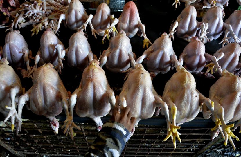 Pedagang menjual ayam potong di pasar Minasa Maupa, Kabupaten Gowa, Sulawesi Selatan, Ahad (12/4/2020). Berkurangnya aktivitas masyarakat seperti tutupnya warung makan, acara pernikahan dan kegiatan yang melibat banyak orang demi mencegah penyebaran pandemi COVID-19 tersebut membuat harga ayam potong mengalami penurunan dari yang biasanya dijual Rp60 ribu per ekor menjadi Rp30 ribu hingga Rp25 ribu per ekor. 