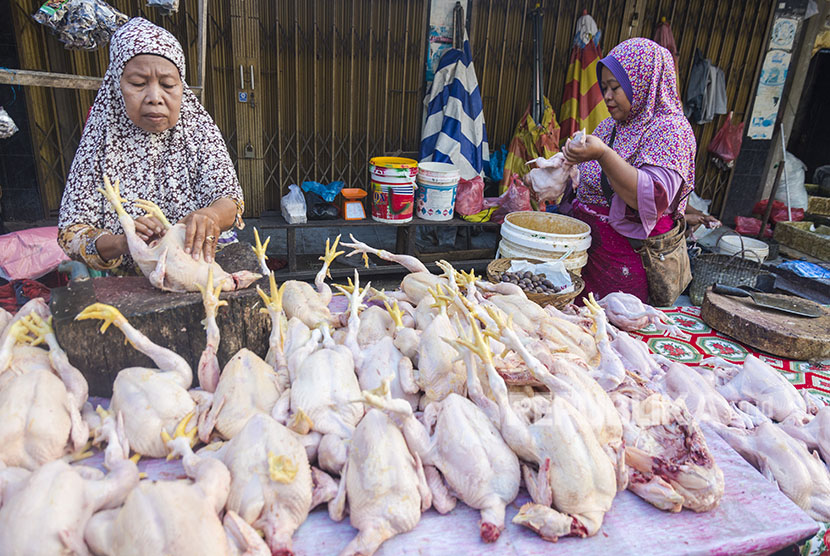 Pedagang menyiapkan ayam yang dijualnya di Pasar Kodim, Kota Pekanbaru, Riau, Jumat (25/5) (ilustrasi).