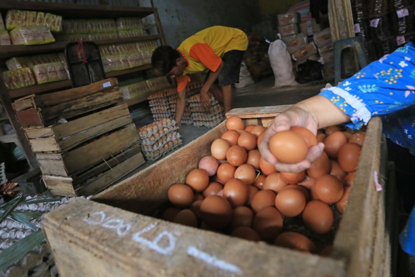 Harga telur ayam di pasaran di Kabupaten Indramayu mengalami lonjakan. Hal itu membuat penjual mengurangi dagangan mereka karena khawatir tidak laku.   Pedagang menyortir telur ayam ras untuk pembeli di Pasar baru, Indramayu, Jawa Barat