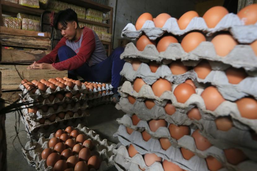 Pedagang menyortir telur ayam ras untuk pembeli di Pasar baru, Indramayu.