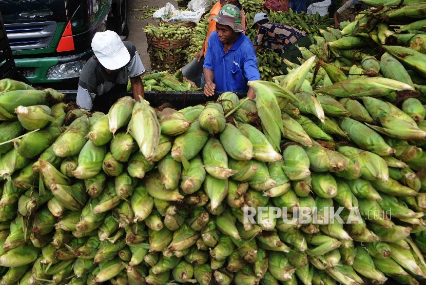  Pedagang menyusun jagung yang baru tiba dari Sukabumi untuk dijual di Pasar Induk Kramat Jati, Jakarta Timur, Selasa (19/1).  (Republika/Agung Supriyanto)