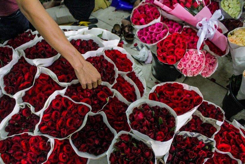 Pedagang merapikan bunga mawar yang dijual di Pasar Bunga Rawa Belong, Jakarta, Rabu (13/2/2019).