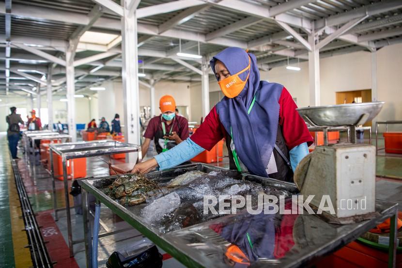 Pedagang merapikan ikan di Pasar Ikan Modern (PIM), Palembang, Sumatera Selatan, Jumat (6/11/2020). Pasar Ikan Modern (PIM) Palembang yang dibangun di lahan seluas sembilan ribu meter persegi tersebut merupakan pasar ikan modern pertama di Pulau Sumatera.