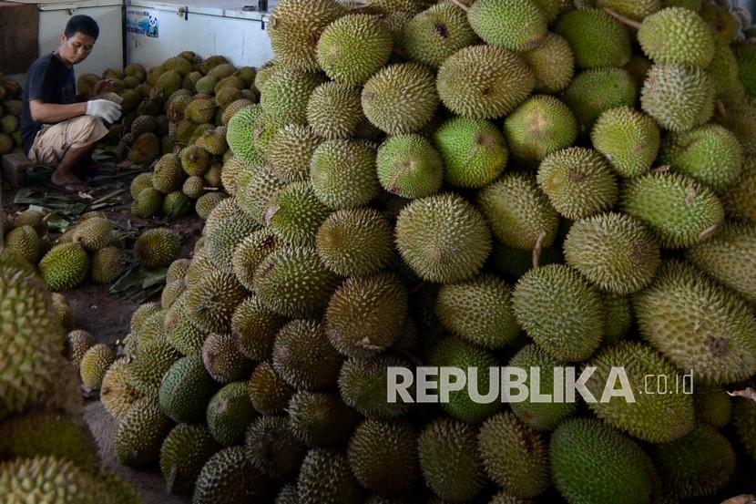 Pedagang musiman menata buah durian (ilustrasi). Berkat video Jokowi, bibit durian Ripto diburu masyarakat.