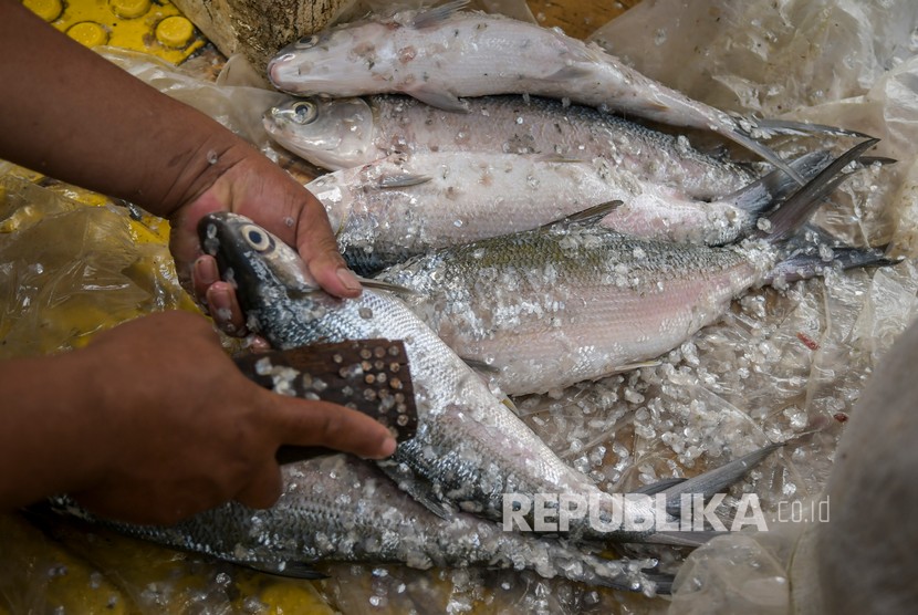 Pedagang musiman menjual ikan Bandeng jelang perayaan Hari Raya Imlek di sepanjang jalan Rawa Belong, Jakarta, Rabu (22/1/2020).