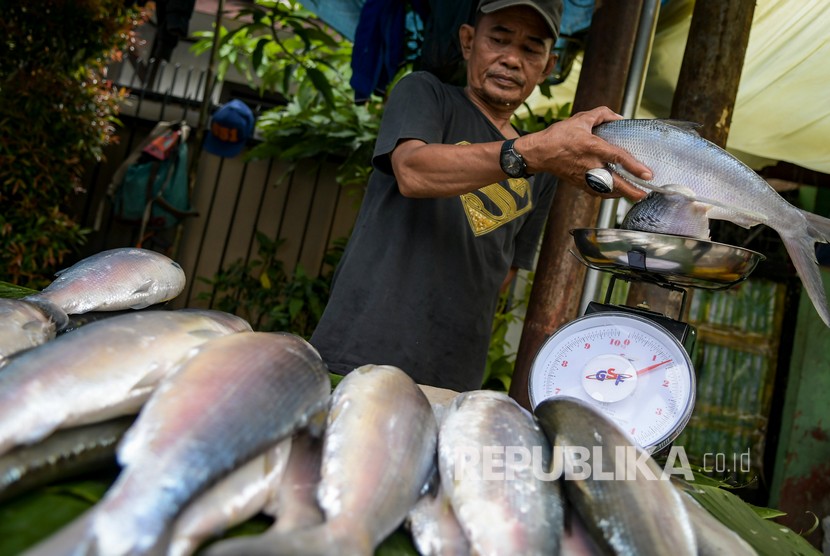 Jelang Imlek, Warga Keturunan Cari Ikan Bandeng. Pedagang musiman menjual ikan Bandeng jelang perayaan Hari Raya Imlek.