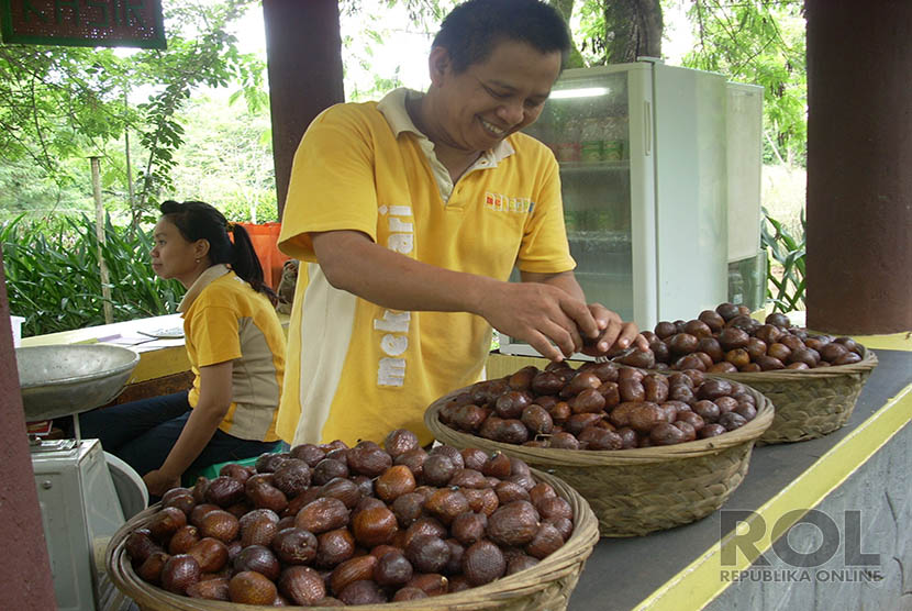 Pedagang Salak