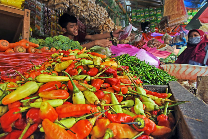 Seorang Ibu rumah tangga memilih cabai rawit di pasar tradisional. ilustrasi