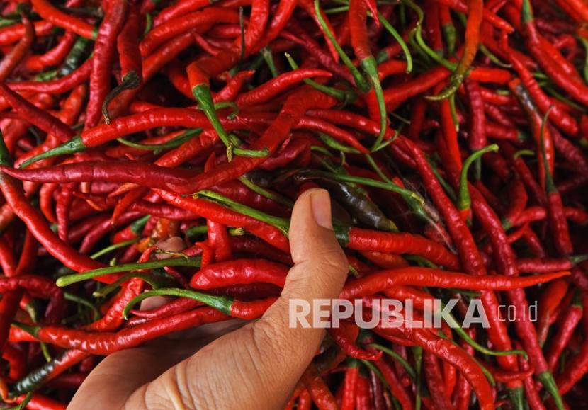 Pedagang sayur menyortir cabai merah di Pasar Induk Rau, Serang, Banten, Senin (27/9). Harga komoditas cabai sebagai salah satu pangan pokok masyarakat mulai mengalami lonjakan harga di akhir tahun. 