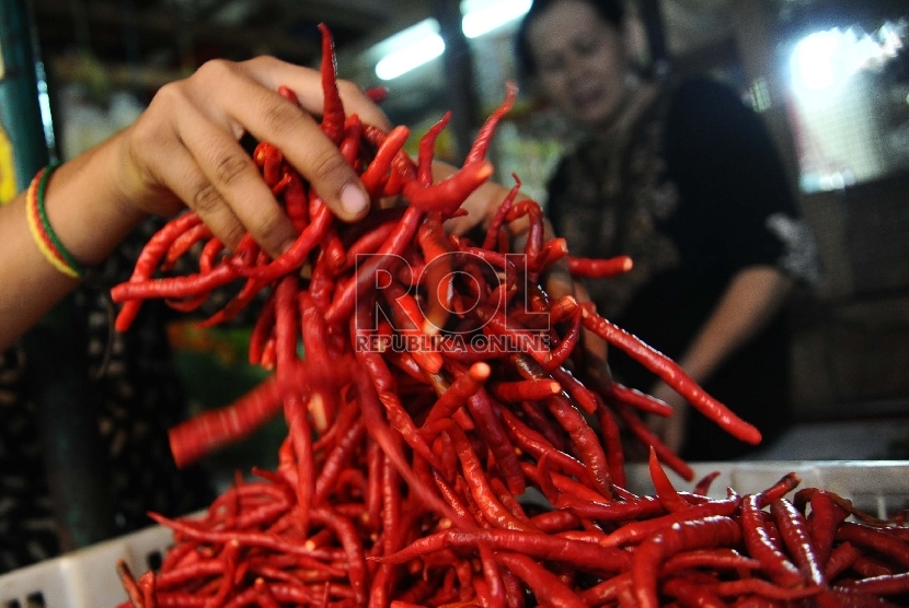 Pedagang sedang memilah cabe merah di pasar tradisional, Jakarta, Senin (3/8). 
