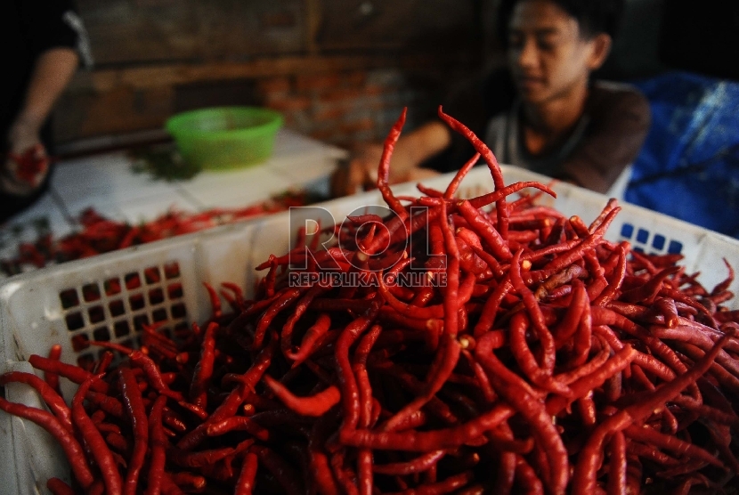 Pedagang sedang memilah cabe merah di pasar tradisional, Jakarta, Senin (3/8).