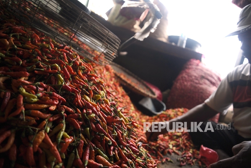  Pedagang sedang memiliah cabai rawit merah di pasar tradisional, Jakarta, Senin (2\1). 