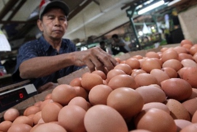 Pedagang Telur