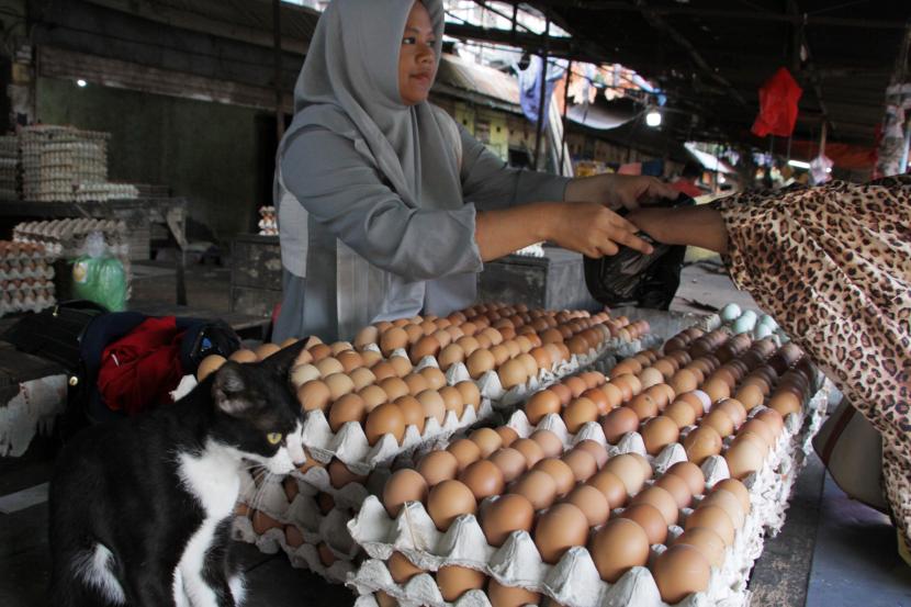 Pedagang telur melayani pembeli di pasar (ilustrasi). Harga telur ayam di Kabupaten Gorontalo Utara, Provinsi Gorontalo, mengalami kenaikan dari kisaran Rp 47 ribu per baki isi 30 butir menjadi Rp 55 ribu per baki tergantung ukuran.