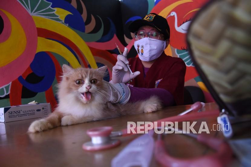 Pegawai Suku Dinas Ketahanan Pangan, Kelautan, dan Pertanian Provinsi DKI Jakarta melakukan vaksinasi rabies kepada Hewan Penular Rabies (HPR) 