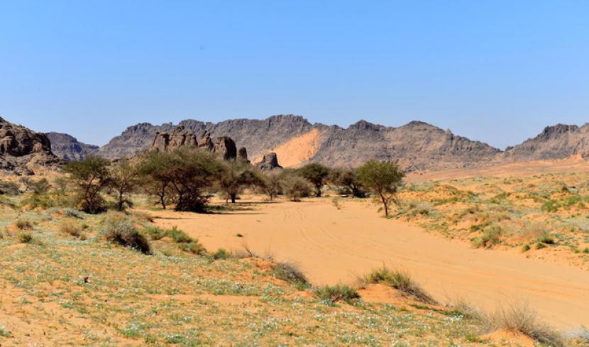 Pegunungan Al-Musma di Hail yang dikenal dengan ukiran khas peninggalan kunonya. Tempat ini menjadi salah satu destinasi wisata di Arab Saudi.