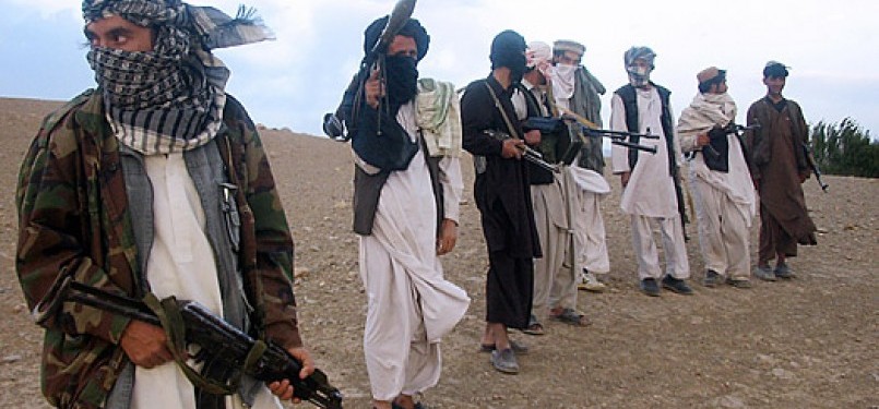 Pejuang Taliban, Afghanistan
