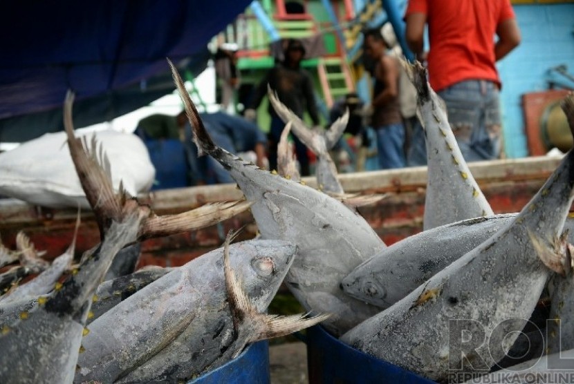  Pekerja melakukan bongkar muat ikan hasil tangkapan di Jakarta, Jumat (26/12). (Republika/Prayogi)