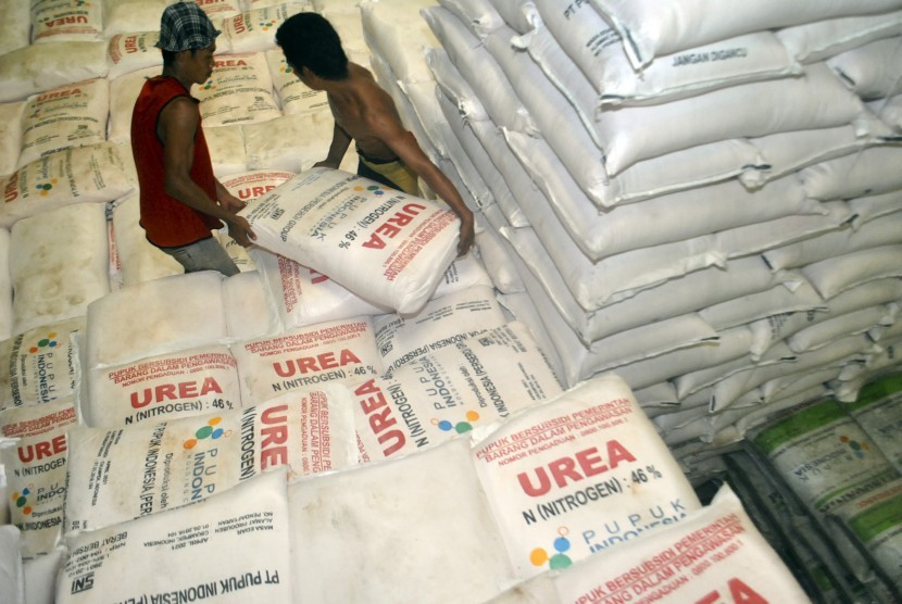 Pekerja melakukan bongkar muat pupuk Urea bersubsidi untuk didistribusikan ke petani.