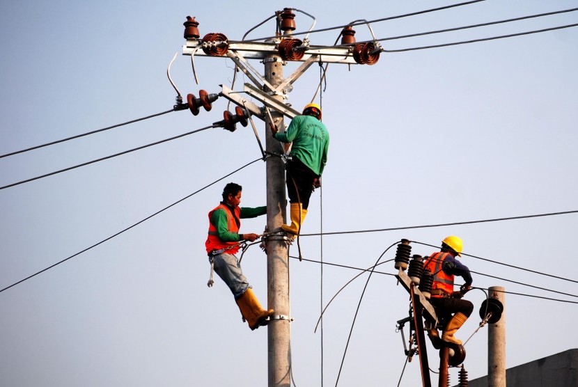 Pekerja melakukan perawatan jaringan listrik milik PT Perusahaan Listrik Negara (PLN).