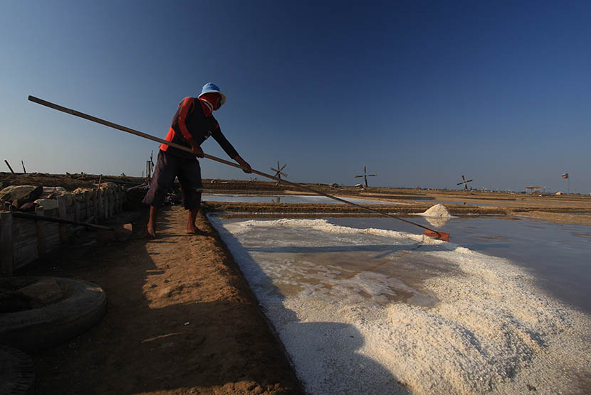   Pekerja memanen garam di desa Santing, Kecamatan Losarang, Indramayu, Jawa Barat, Senin (22/6).   (Antara/Dedhez Anggara)