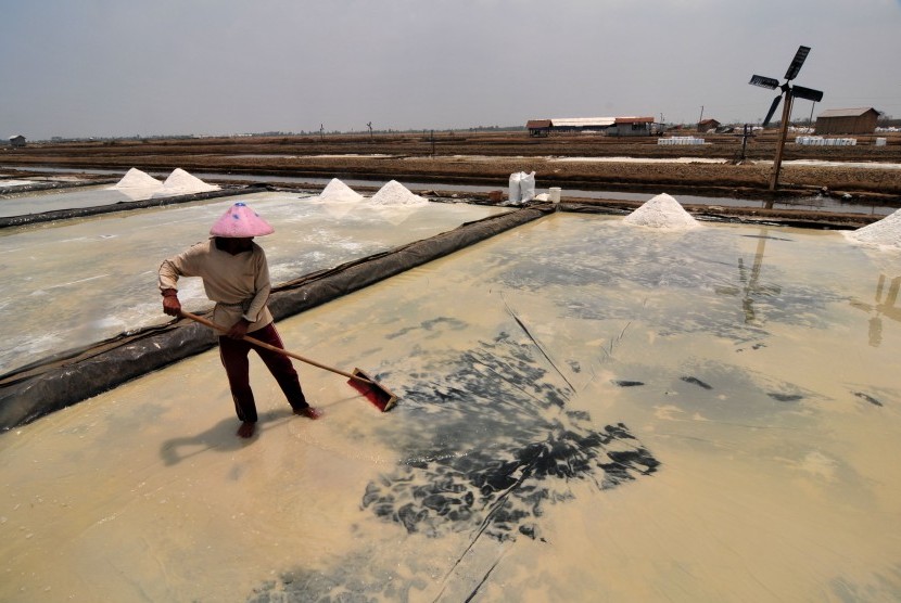 Pekerja memanen garam di tambak dengan sistem Tekhnologi Ulir Filter (TUF) dan pemasangan Geomembran (LDPE) di Desa Kaliwlingi, Brebes, Jawa Tengah, Sabtu (31/10).