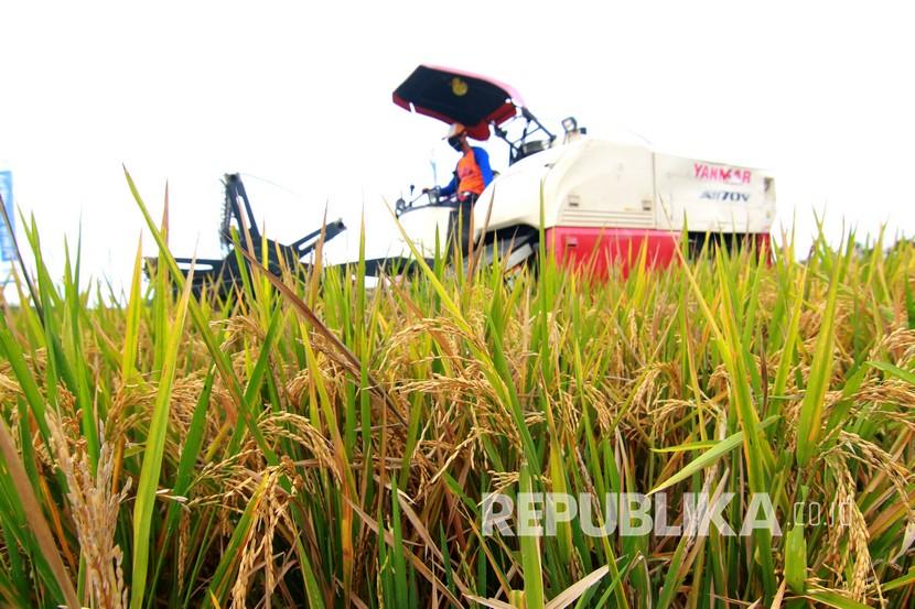 Pekerja memanen padi menggunakan mesin (ilustrasi). Bulog diminta meningkatkan serapan gabah guna mencukupi cadangan beras.