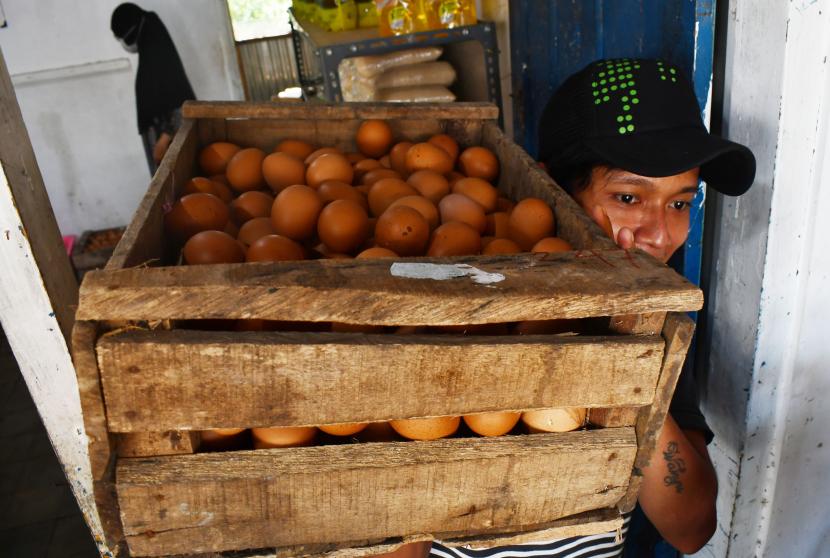 Pekerja memanggul rak berisi telur ayam (ilustrasi). Kepala Dinas Perindustrian dan Perdagangan Kota Batam Gustian Riau mengatakan kenaikan harga telur ayam di pasar tradisional di daerah itu merupakan imbas dari naiknya harga pakan ayam.