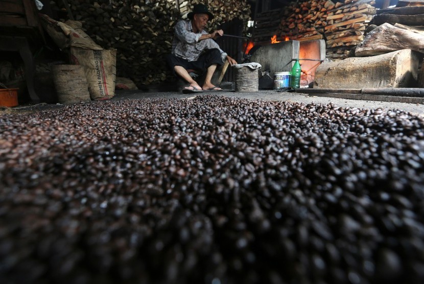 Pekerja memasak kopi jenis robusta secara tradisional. Ilustrasi